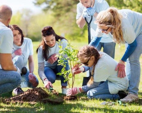 Какой благотворительностью заняться?