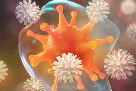 Аутоиммунные заболевания