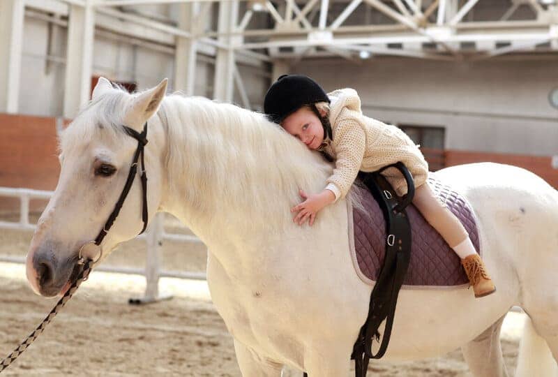 Иппотерапия — лечение общением с лошадьми