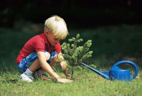 Благотворительность в сфере экологии