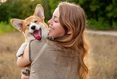 Зоотерапия