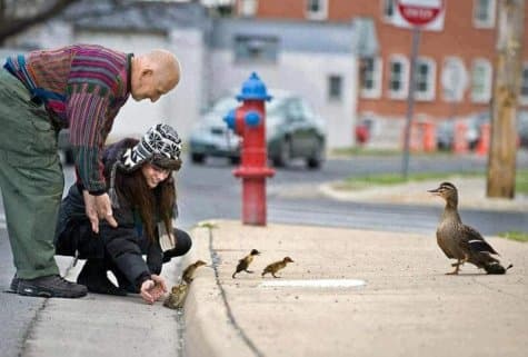 Помогать ли на улицах – все «за» и «против»