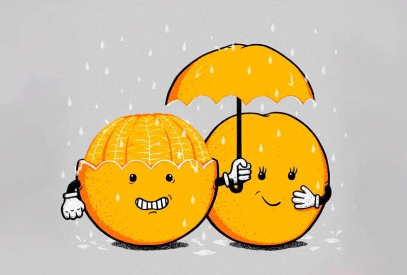 Меценатство и филантропия — в чём разница