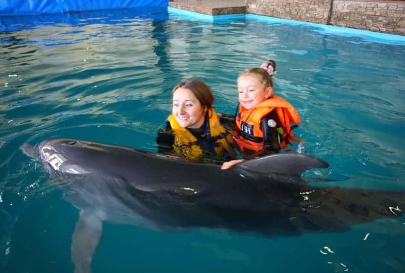 Как дельфины лечат людей