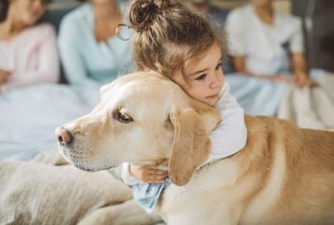 Канистерапия — как собаки лечат людей