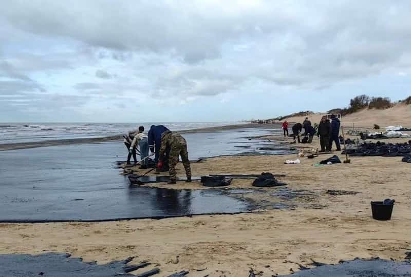 Экологическая катастрофа на Чёрном море