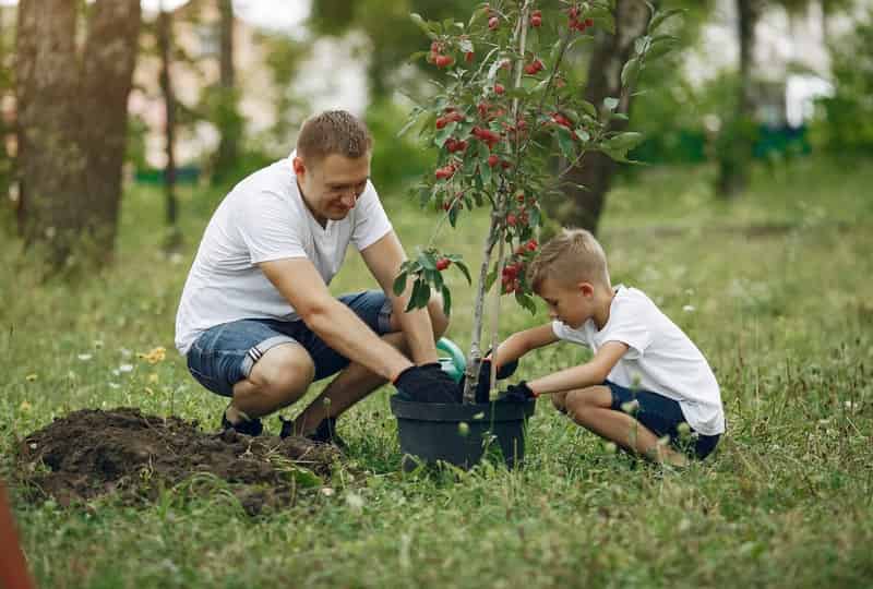 Благотворительность — что это, кому нужна и как работает