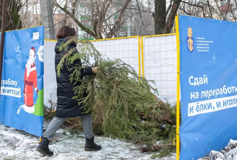 Утилизируем ёлку правильно