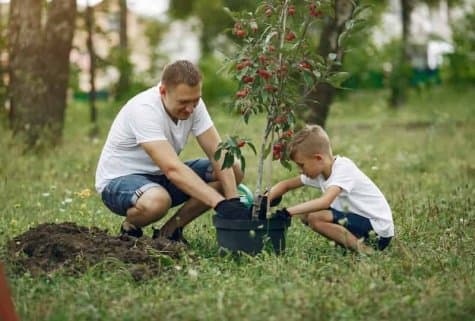 Благотворительность — что это, кому нужна и как работает