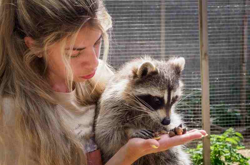 Спасение диких животных