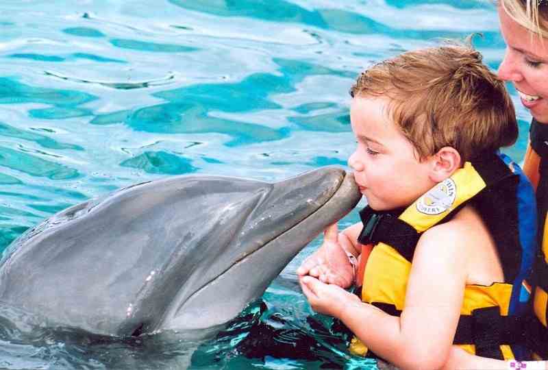 Дельфинотерапия при аутизме