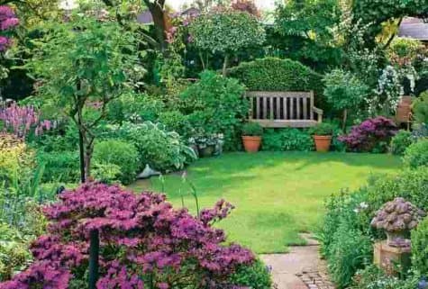 Как создать экологичный сад или огород