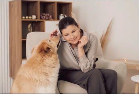 Зачем приютам зоопсихолог. Зоопсихологи — добровольцы