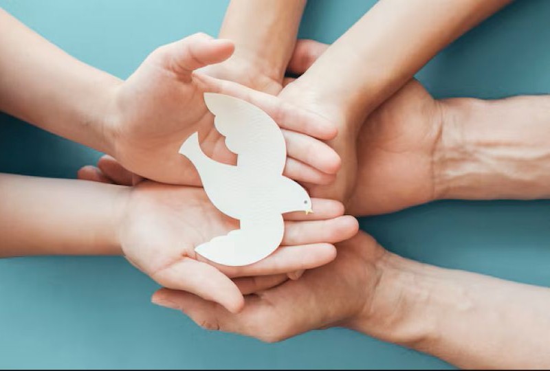 Тихая благотворительность: почему люди помогают тайно