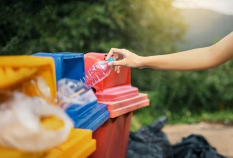 Помощь экологии: что может сделать каждый
